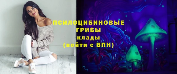 дурь Алексин