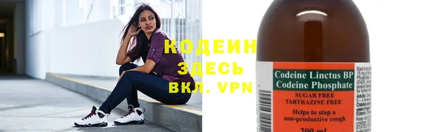 дурь Алексин