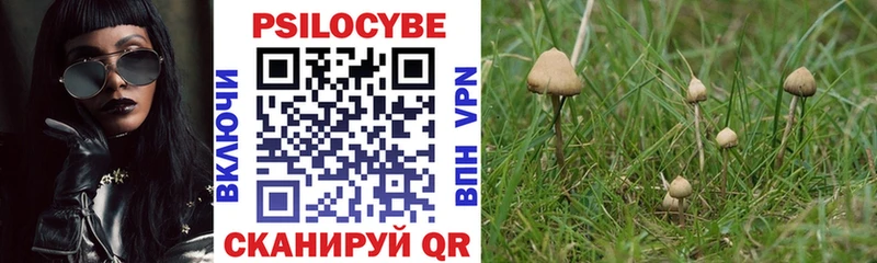 наркошоп  Крымск  Псилоцибиновые грибы Psilocybe 