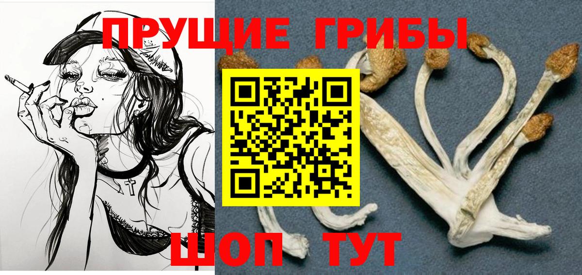 Псилоцибиновые грибы мицелий Крымск
