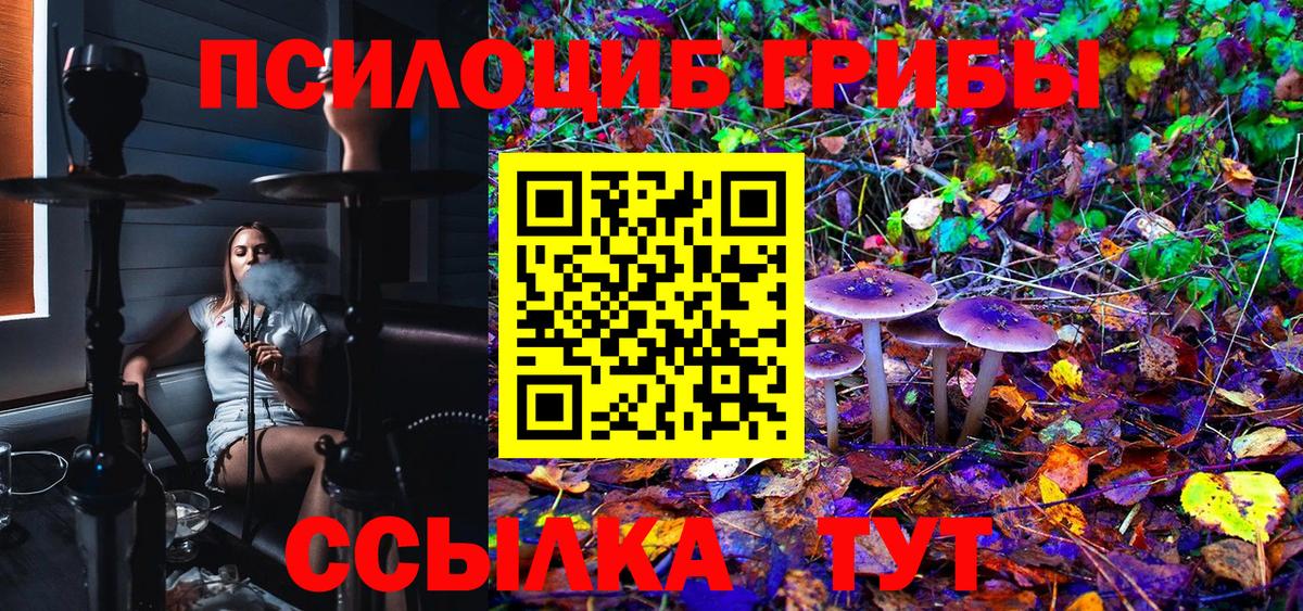 Псилоцибиновые грибы Cubensis  Вход с VPN  Крымск  Псилоцибиновые грибы Psilocybe 